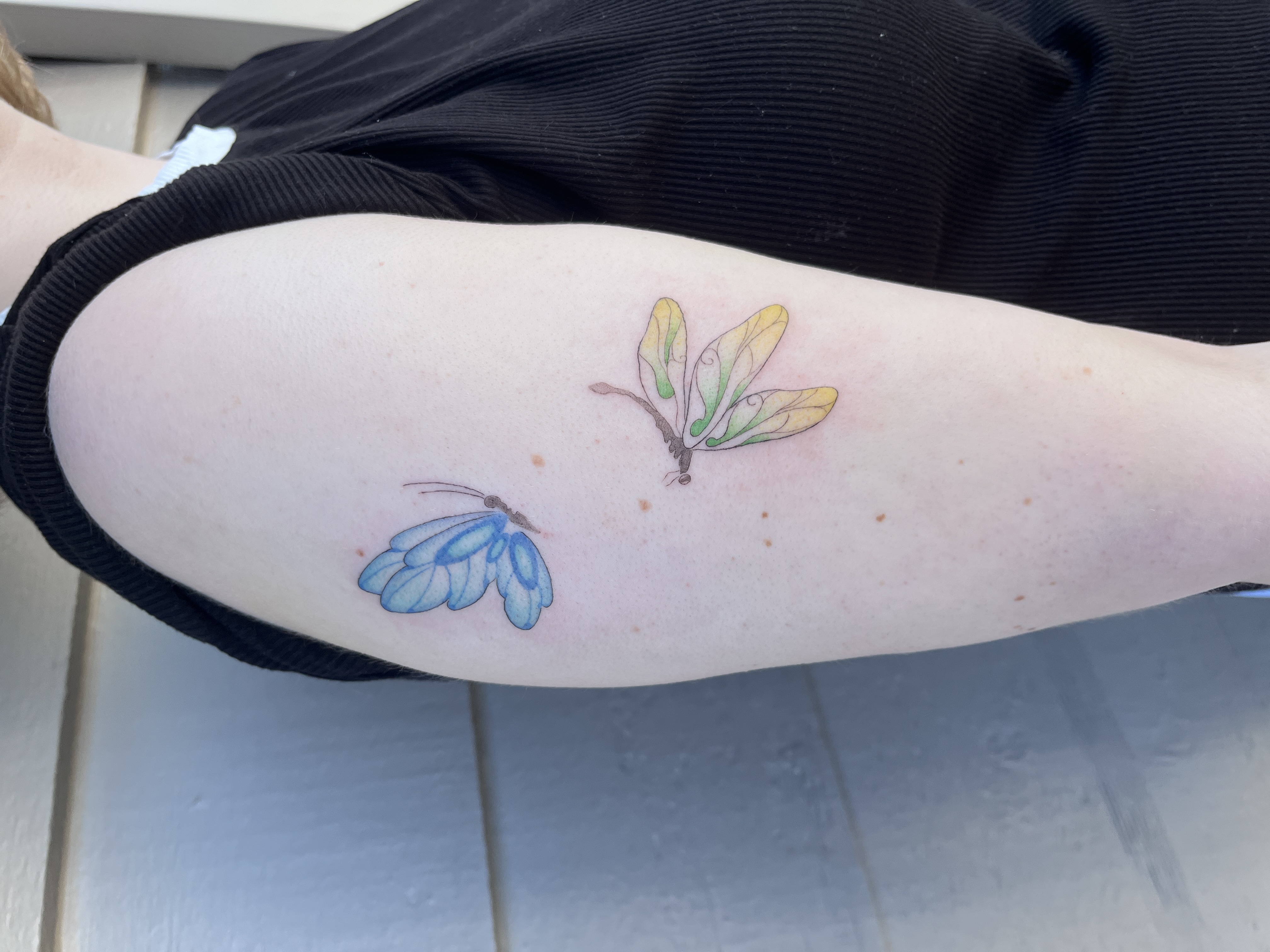 Butterfly and Dragonfly